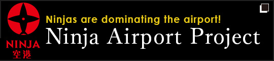 ninja airport project