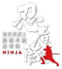Hattori Hanzo ando Ninjas